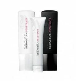 De gros ???? Sebastian Professional Pack Penetraitt Sebastian ????